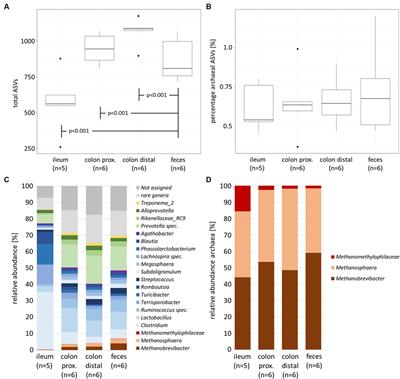 Archaeome structure and function of the intestinal tract in healthy and H1N1 infected swine